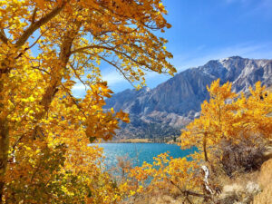 Read more about the article Chase the Colors: Your Ultimate Fall RV Road Trip Awaits!